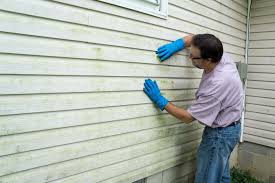 Affordable Siding Repair and Maintenance Services in Pine Bluff, AR